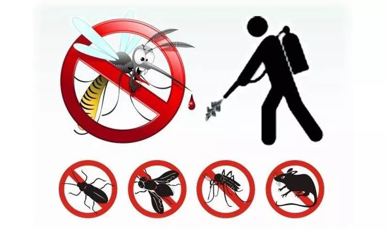 Immagine notizia 2